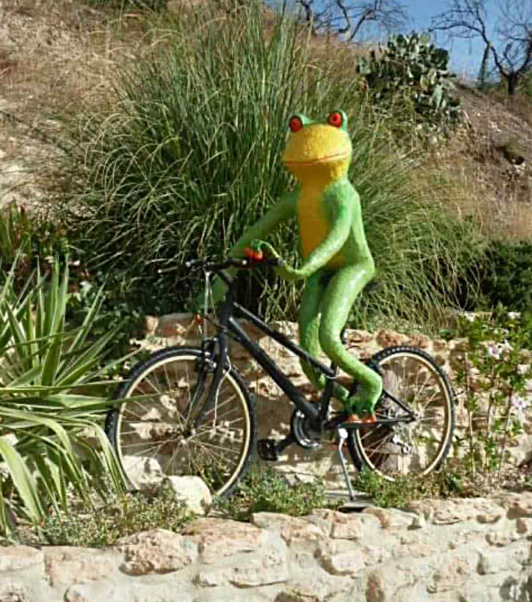 Model Frog On Bicycle