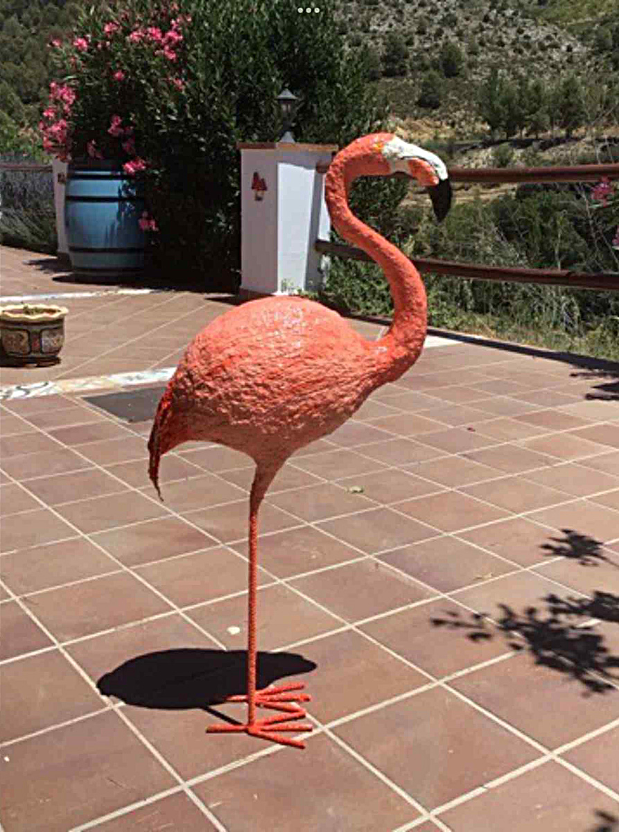 Model Flamingo