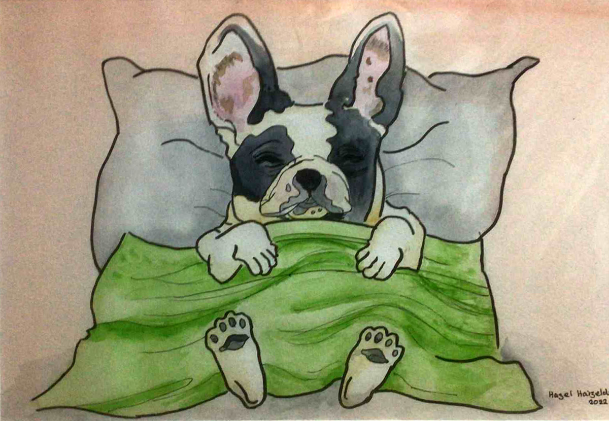 Painting Sleeping Pooch!, A French Bulldog (Frenchie) cozily tucked into bed under a green blanket, with its head resting on a pillow and its paws peeking out. The scene captures a sense of comfort, relaxation, and the adorable personality of the dog.