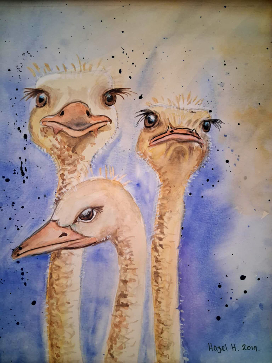 Painting Ostriches, A trio of ostriches, each with a distinct and expressive personality. The painting focuses on their faces and long necks, capturing a range of emotions—curiosity, skepticism, and mischief. 