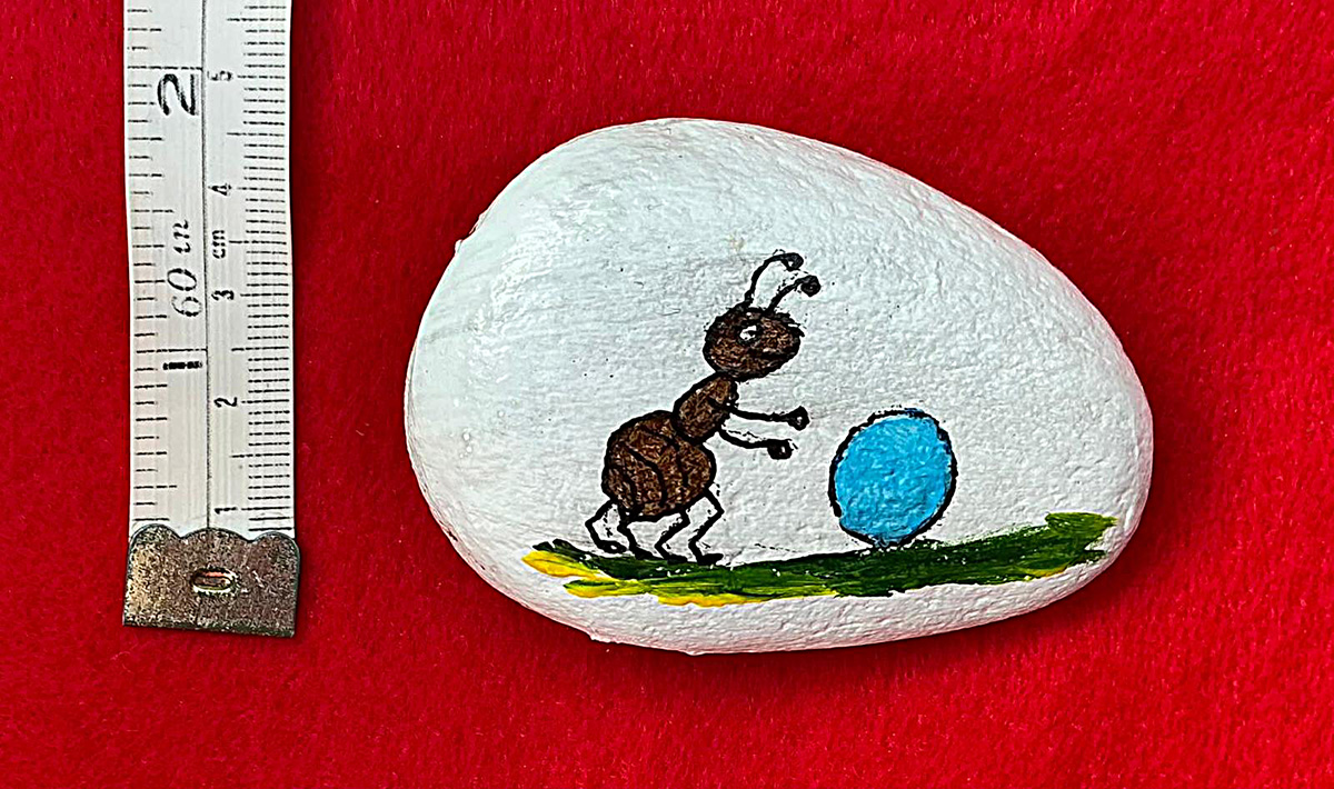 Pebble Ant